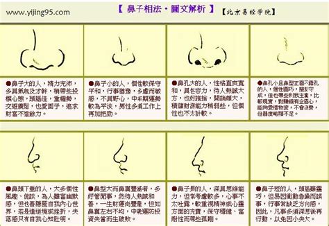 鼻尖 面相